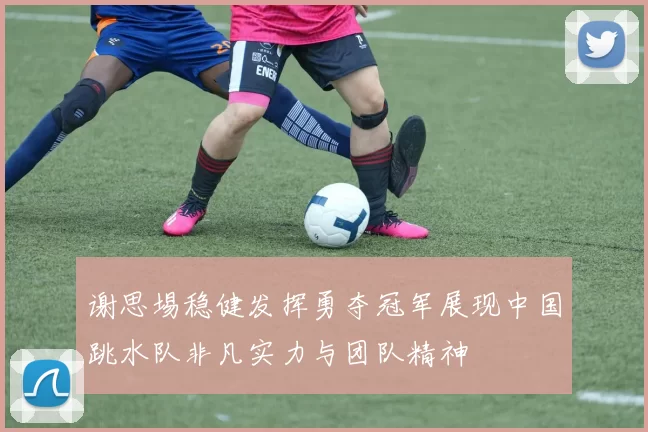 谢思埸稳健发挥勇夺冠军展现中国跳水队非凡实力与团队精神