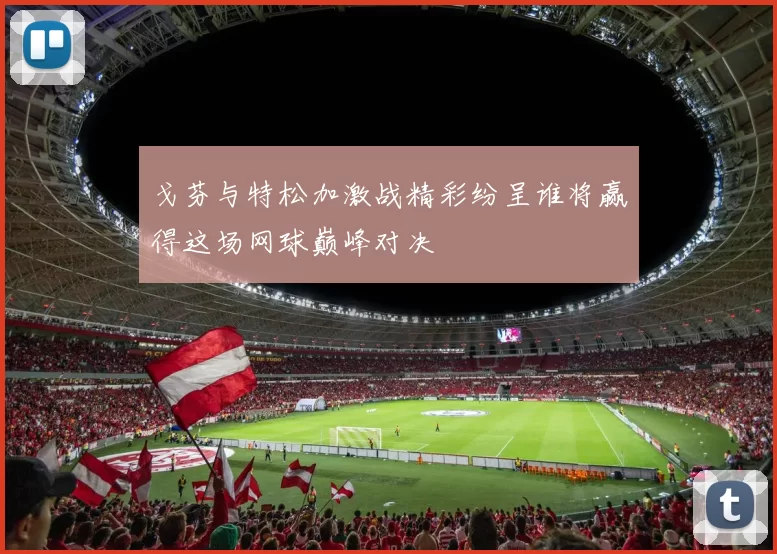 戈芬与特松加激战精彩纷呈谁将赢得这场网球巅峰对决