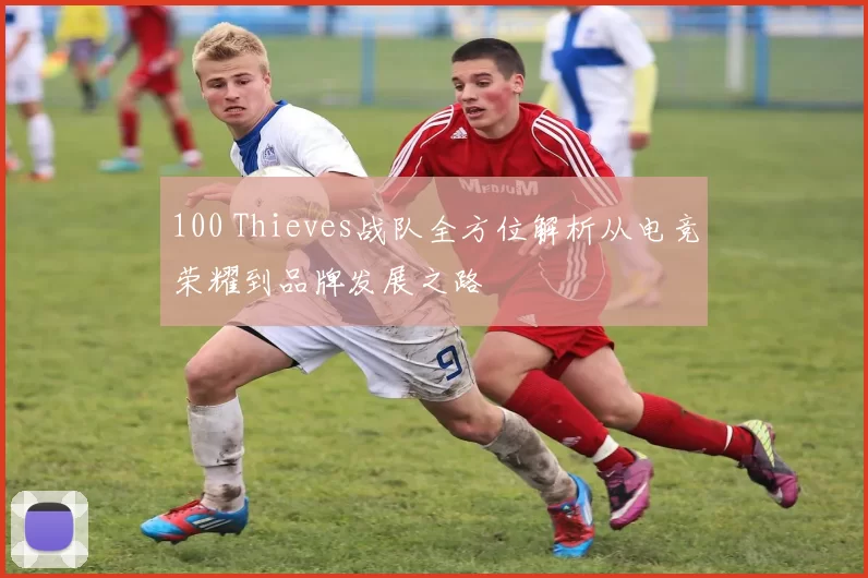 100 Thieves战队全方位解析从电竞荣耀到品牌发展之路