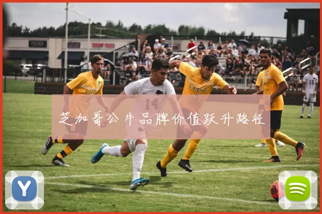 芝加哥公牛品牌价值跃升路径