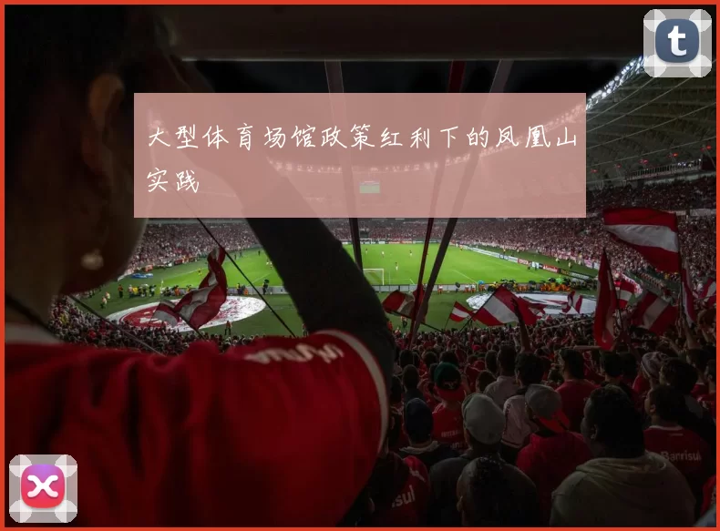 大型体育场馆政策红利下的凤凰山实践
