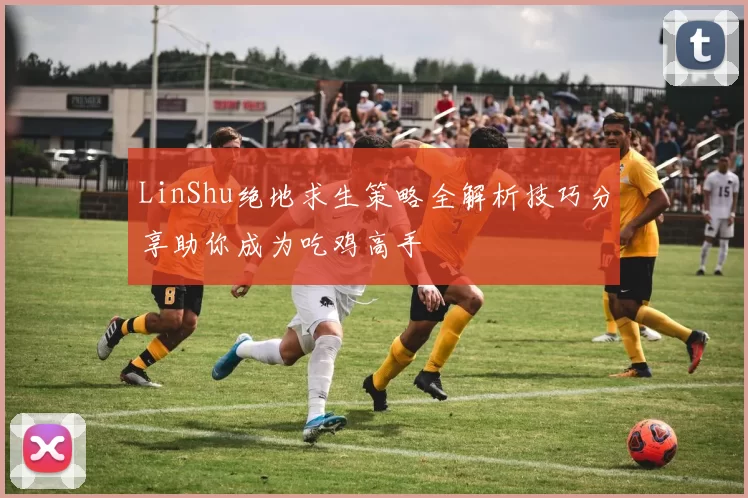 LinShu绝地求生策略全解析技巧分享助你成为吃鸡高手