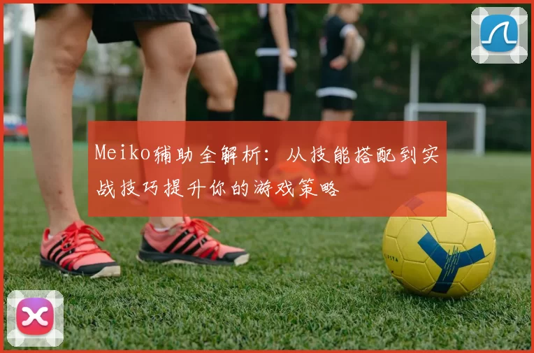 Meiko辅助全解析：从技能搭配到实战技巧提升你的游戏策略